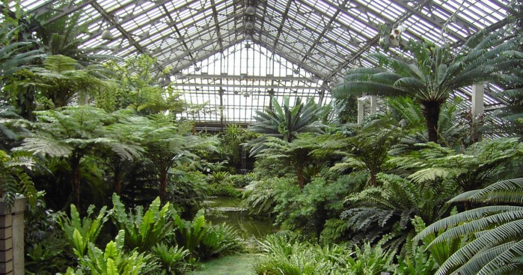 Garfield-Park-Conservatory