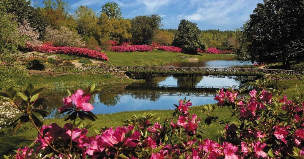 Bellingrath-Gardens-in-Mobile