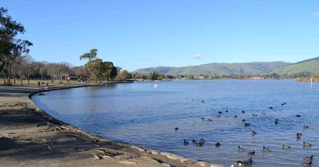 Lake-Elizabeth-in-Fremont-California