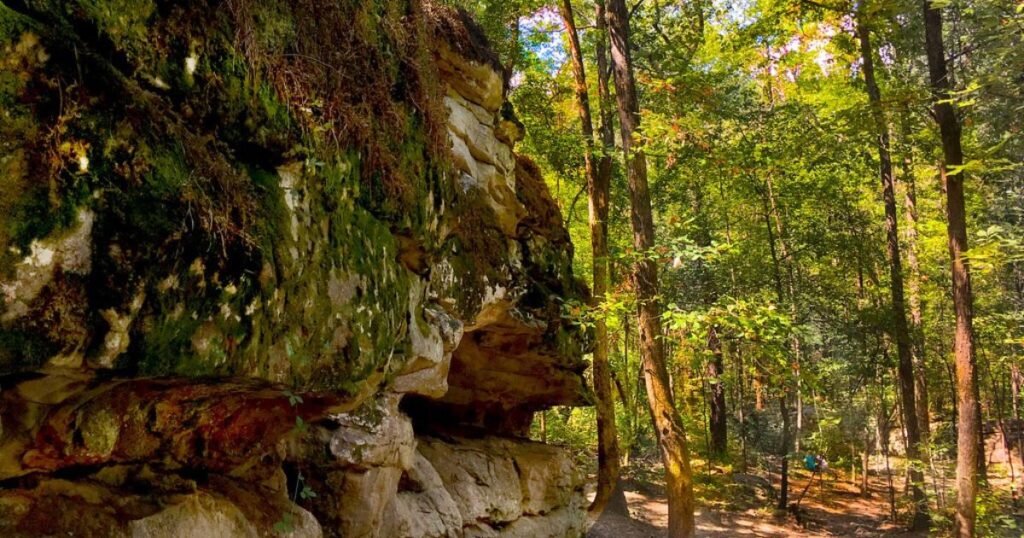 Moss-Rock-Preserve-in-Hoover