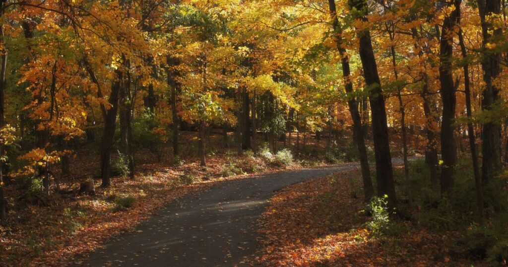 Percy-Warner-Park-Nashville