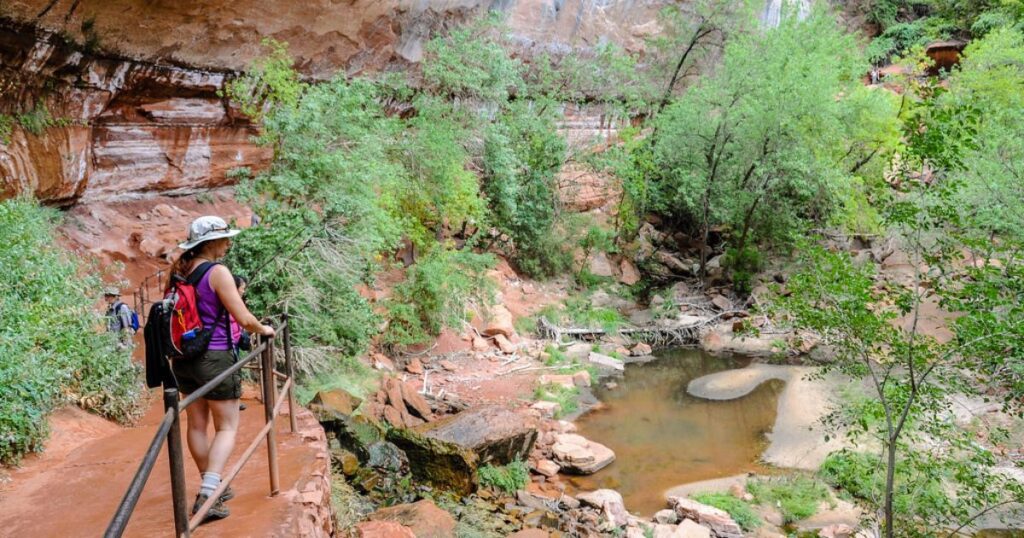 The-Lower-Emerald-Pool-Trail