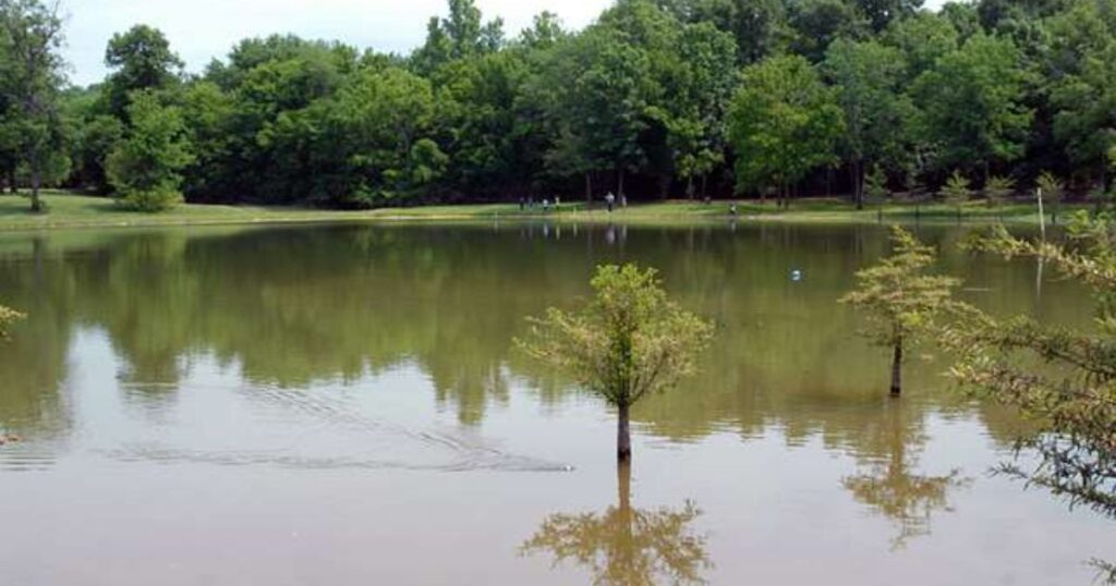 the-beautiful-lake-at-cooks-recreation-area-Nashville