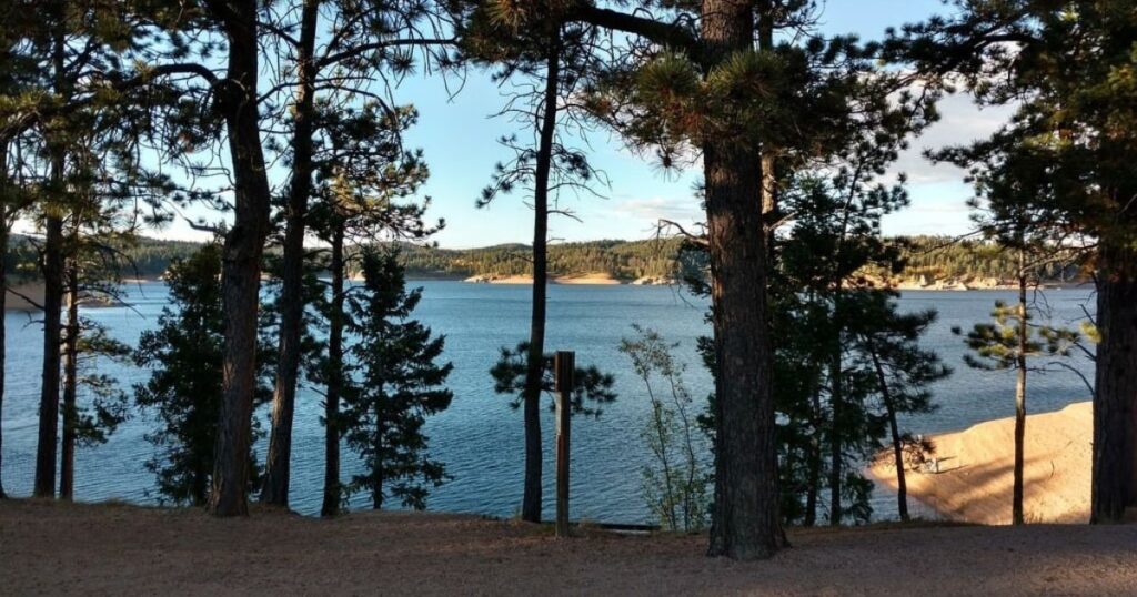 trees-lake-rampart-reservoir