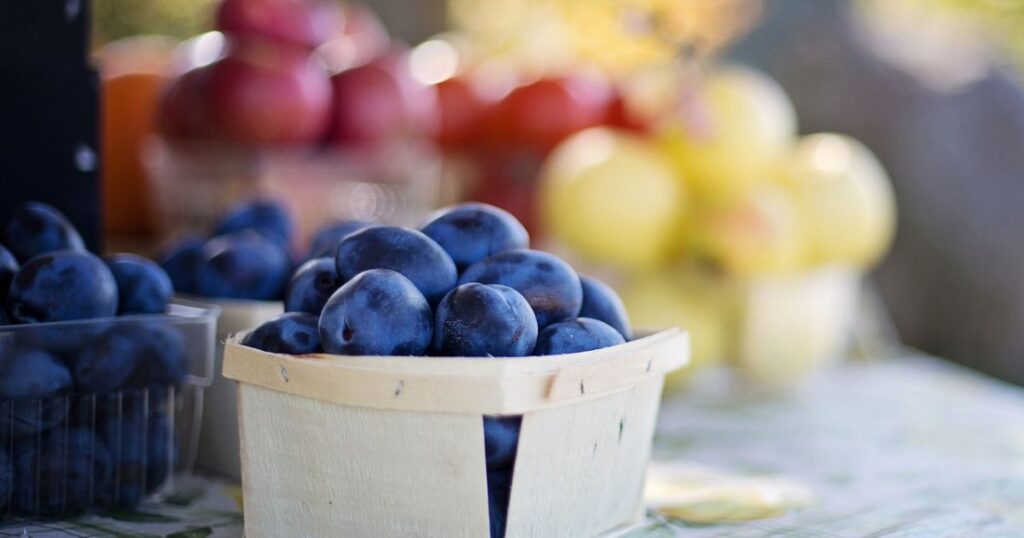 Farmers-Market-in-tuscaloosa-AL