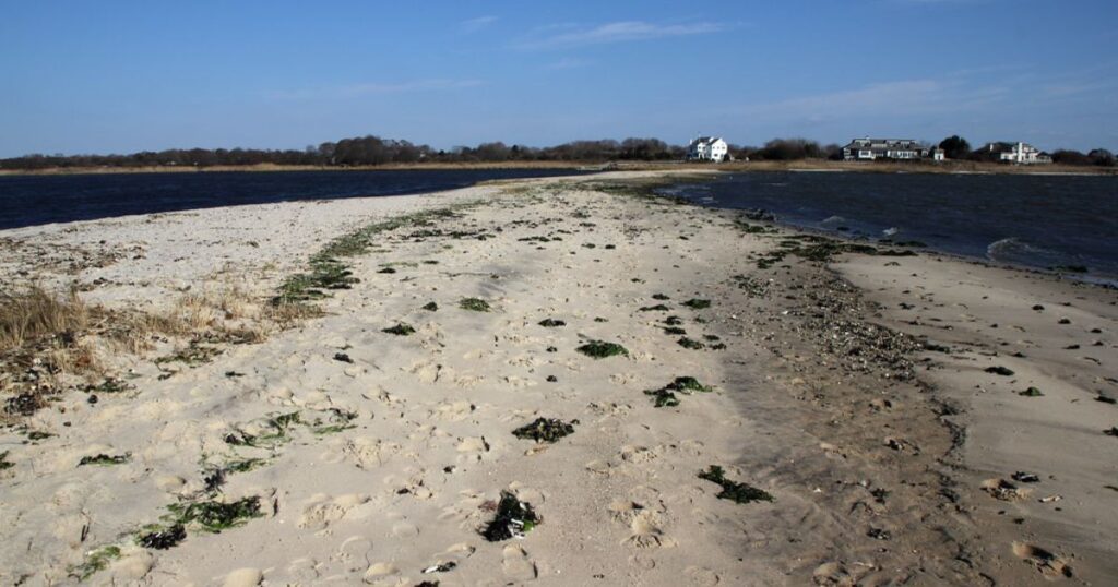 River-Sandbar-Park