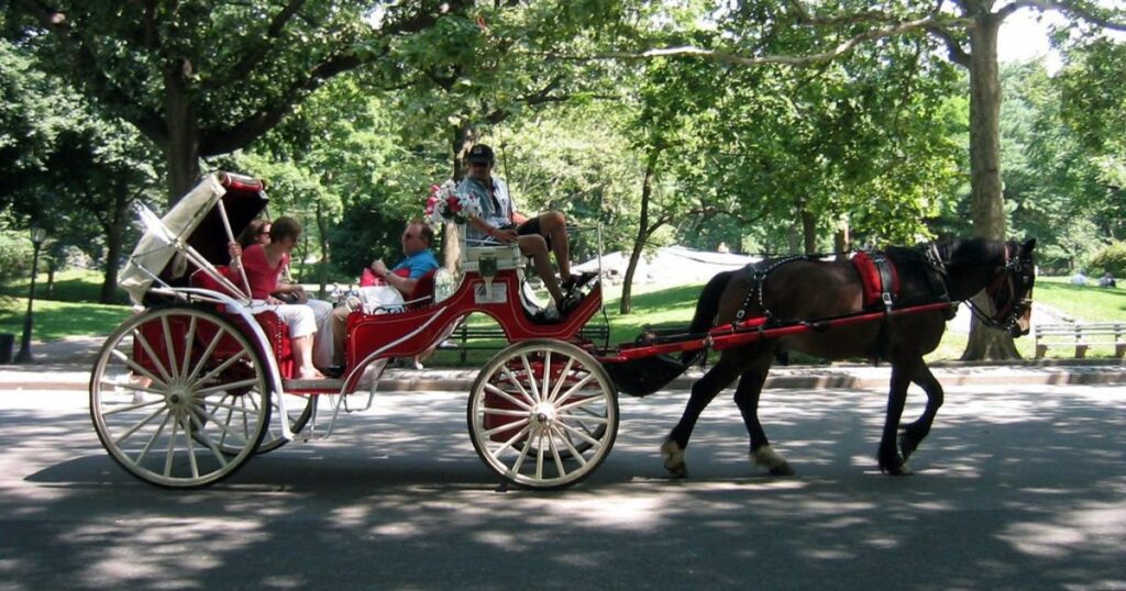 Touring-the-City-with-Sugar-Creek-Carriages-in-Nashville