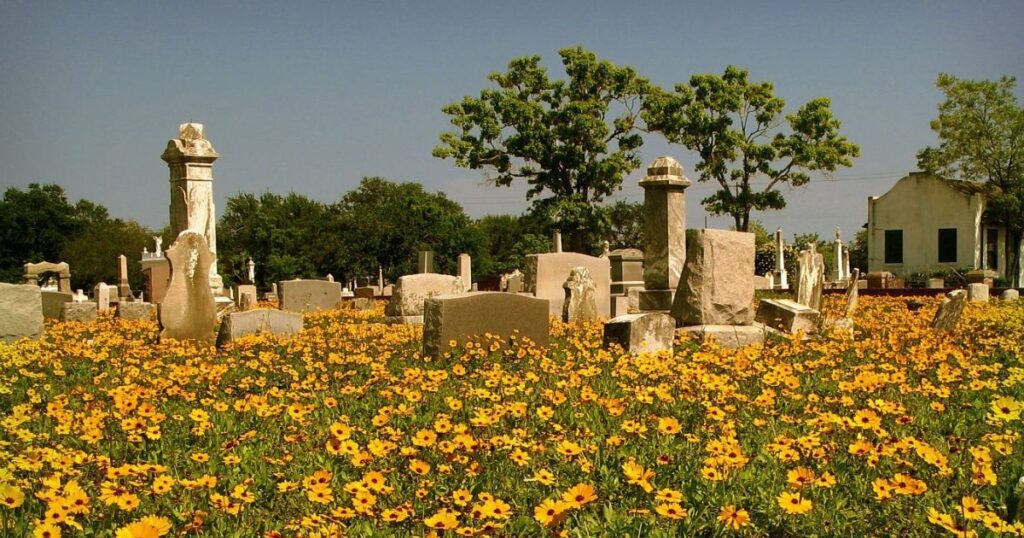 Flowers-in-Galveston's-Old-City-Cemetery