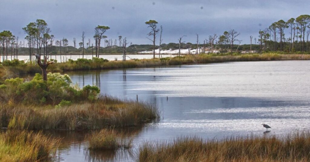 Bon-Secour-National-Wildlife-Refuge