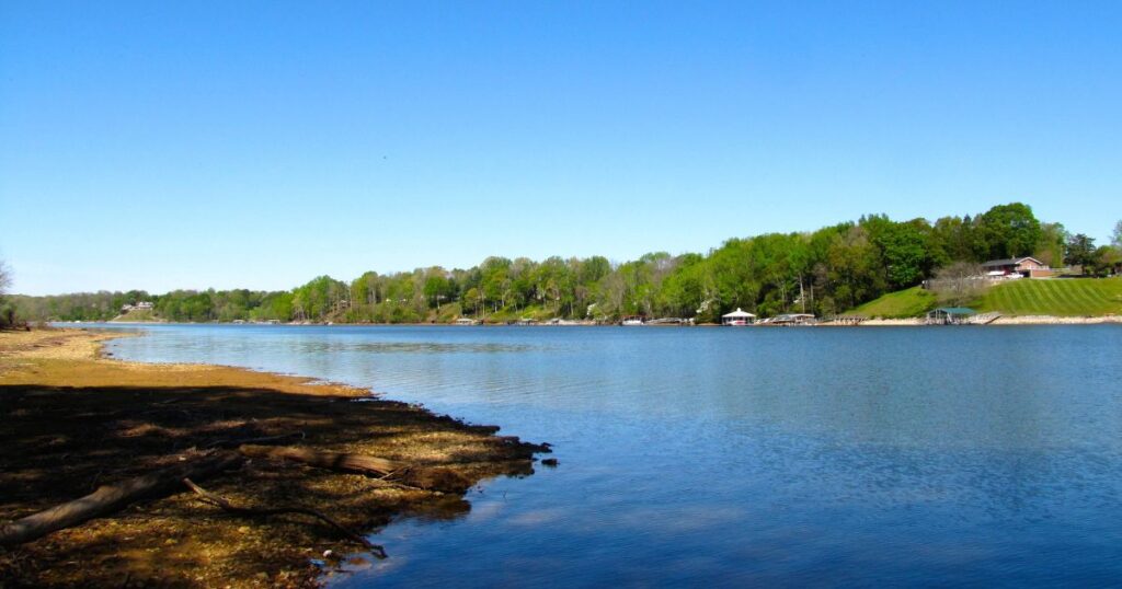 Tims-Ford-Lake-near-Estill